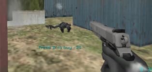 Ultimate SWAT