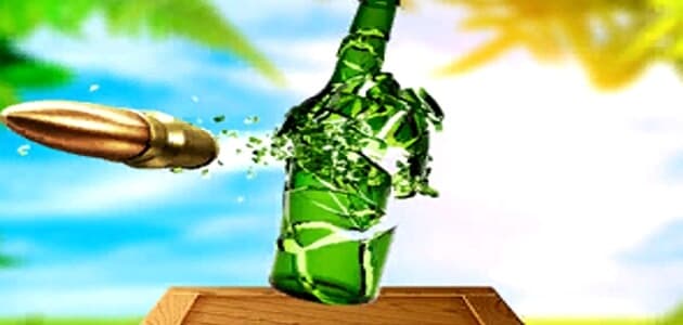 Real Bottle Shooter