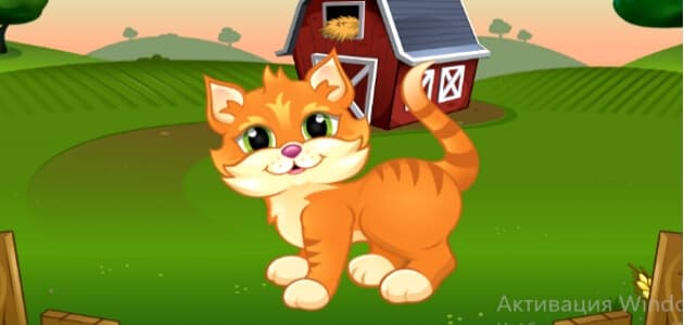 My kitty