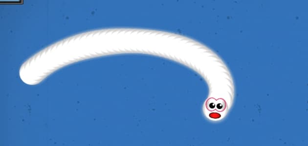 Worms Zone 1