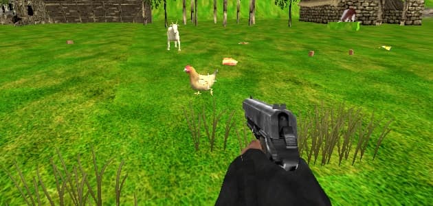 Chicken shooting