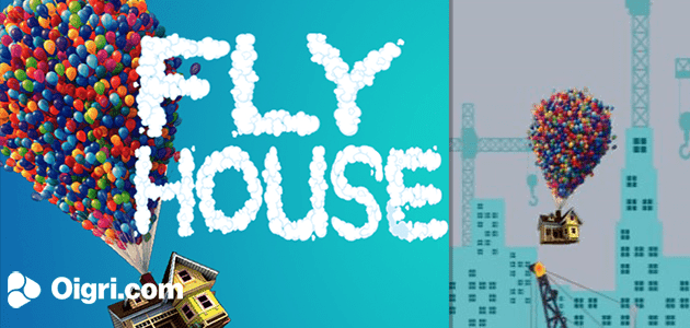 Fly house