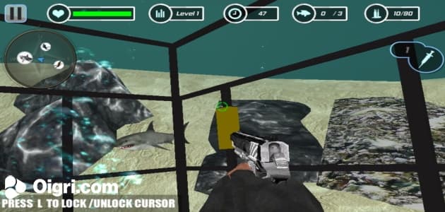 Shark Hunting
