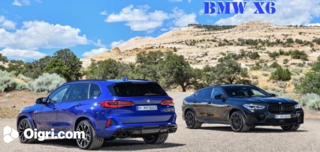 BMW X6 Puzzle