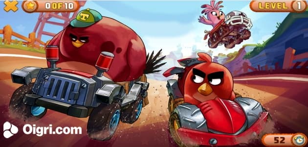 Crazy birds kart