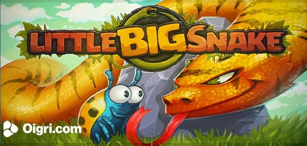 Little big snake.io