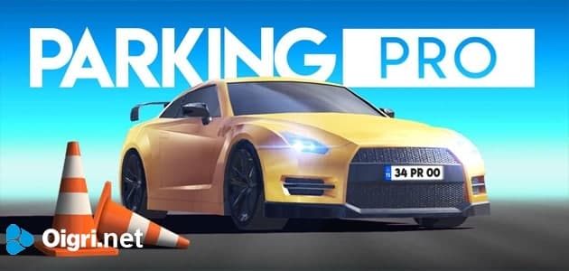 Professional car parking