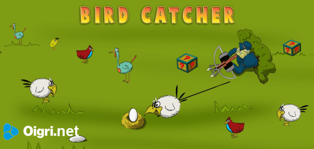 Bird Catcher